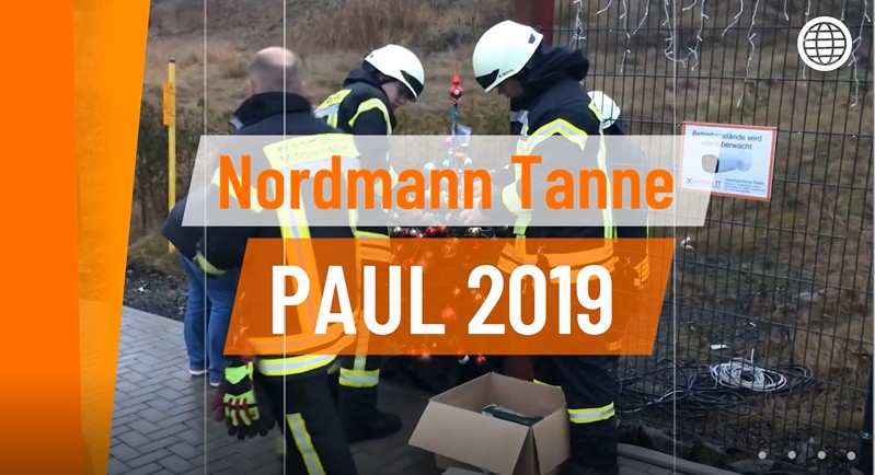 Alt-Text: Zwei Personen in Sicherheitskleidung kümmern sich um eine Nordmann Tanne während einer Veranstaltung in Paul im Jahr 2019. Im Hintergrund sind Weihnachtslichter und ein Hinweisschild sichtbar.