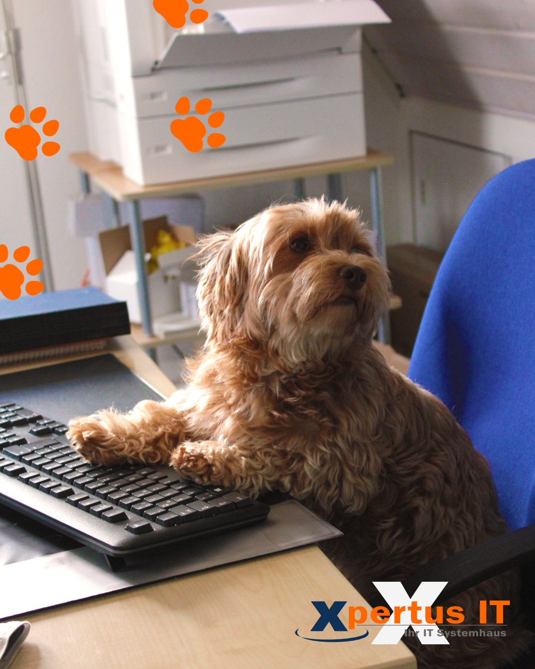 Ein Hund im Büro - Babsis Alltag 1 Ein Hund sitzt an einem Schreibtisch und tippt auf einer Computer-Tastatur, umgeben von Büromaterial. Die Szene vermittelt eine freundliche und produktive Arbeitsatmosphäre im IT-Bereich.