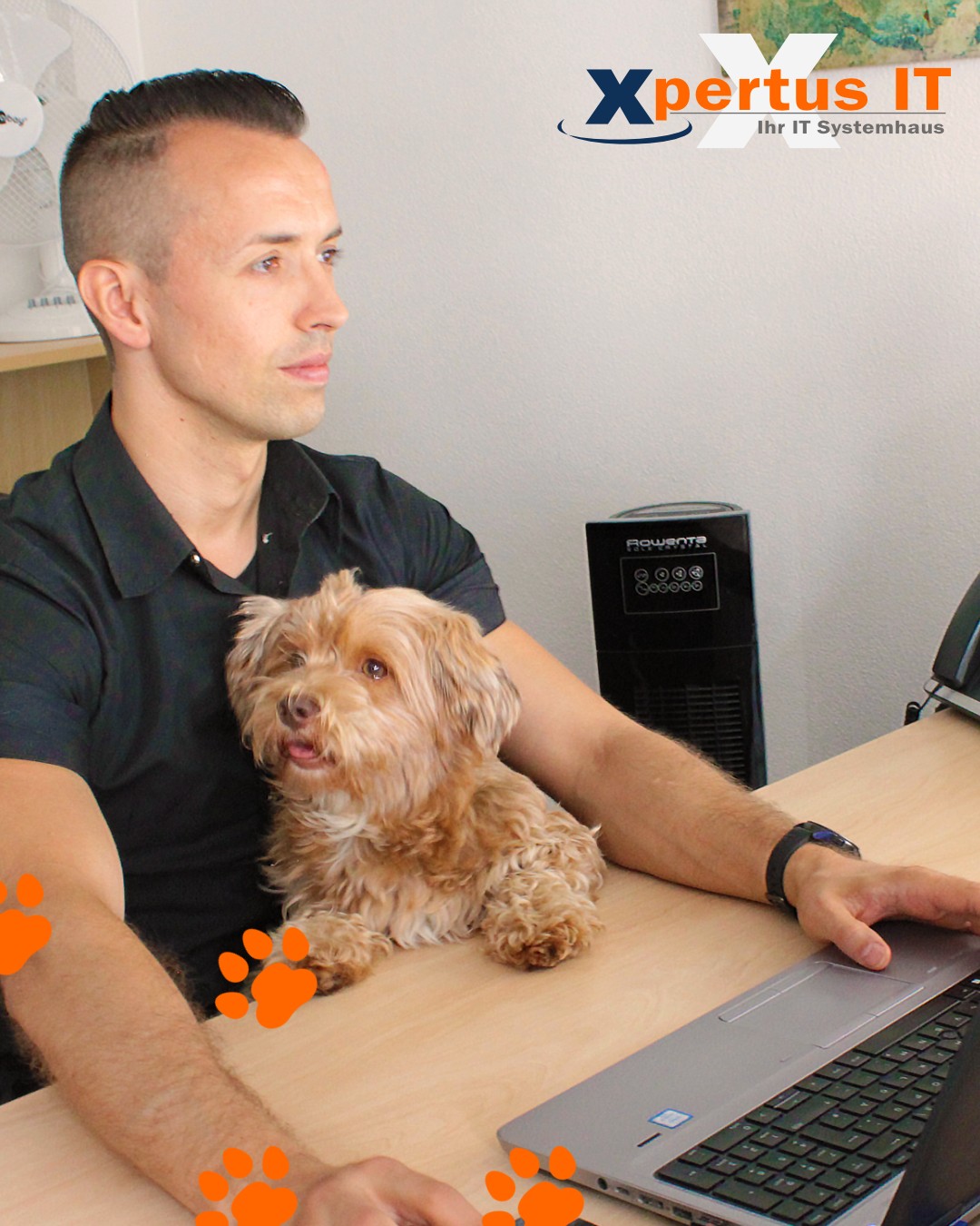 Ein Hund im Büro - Babsis Alltag 2 Facebook-Post-Bürohund-Babsi