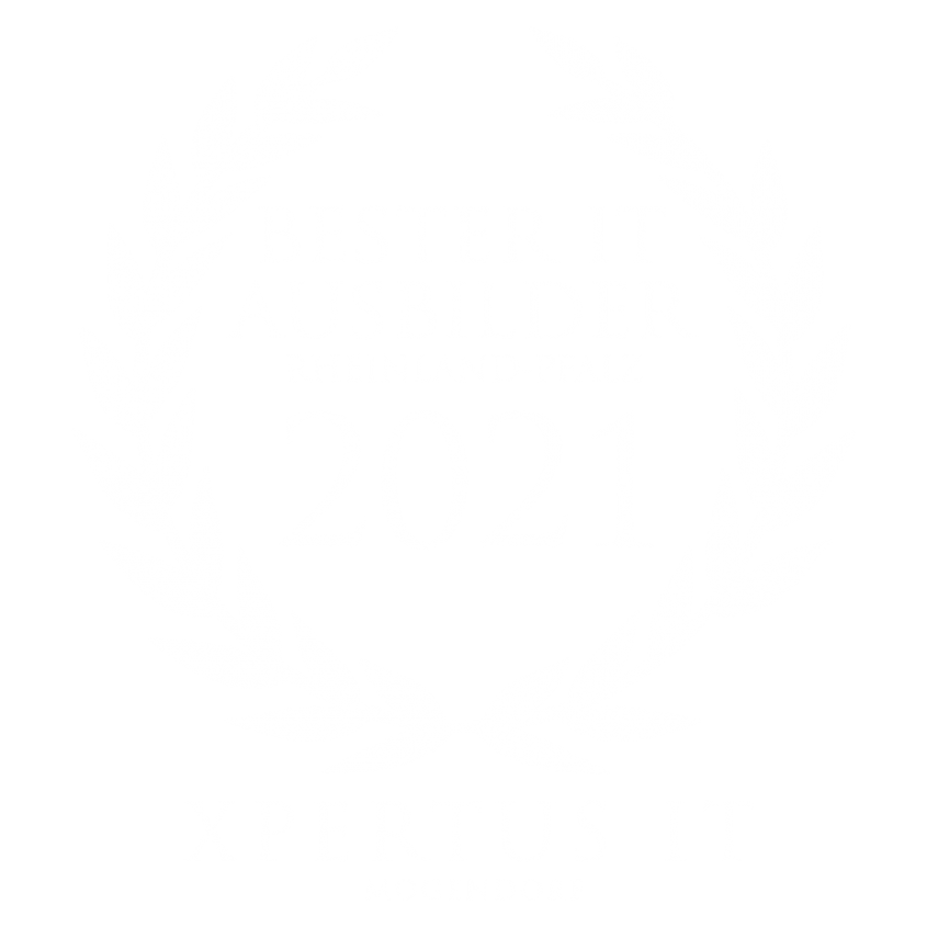 Auszeichnung für den besten IT-Ausbilder in Rheinland-Pfalz 2021 von Xpertus IT, Mogendorf.