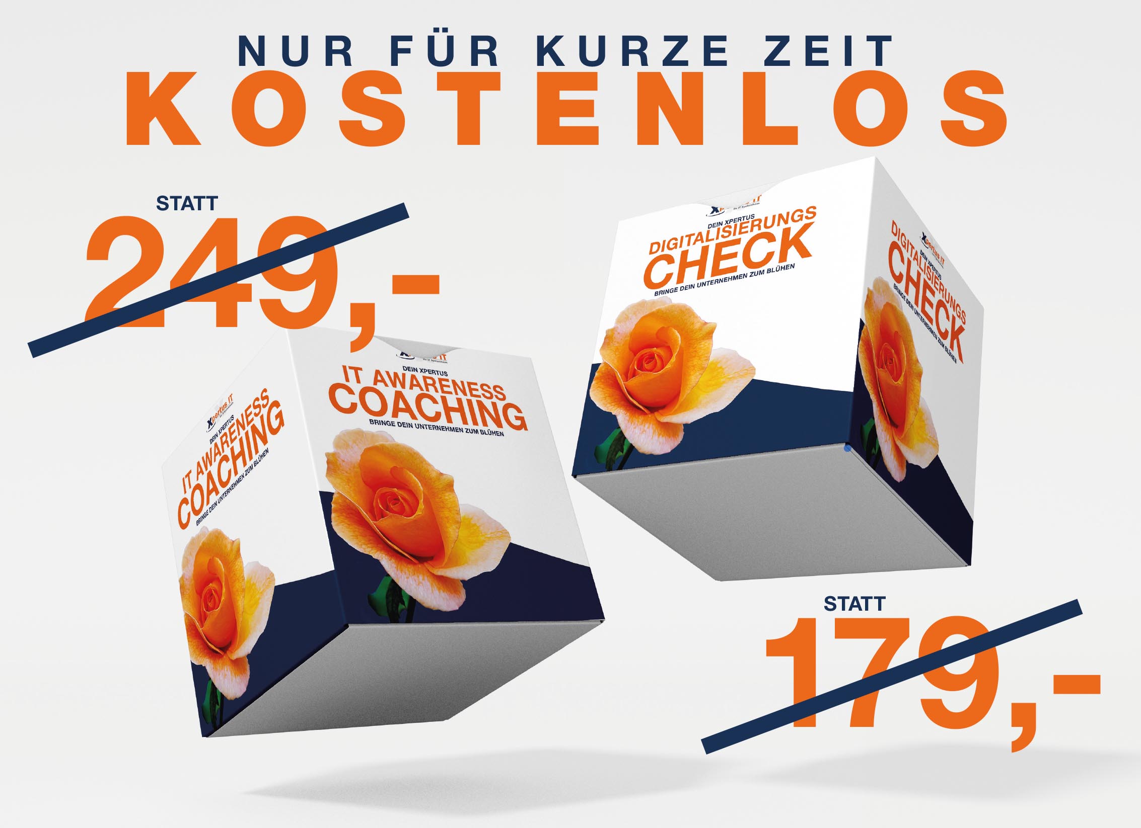 Grafik mit Angeboten für IT Awareness Coaching und Digitalisierungscheck, die aktuell kostenlos sind. Ursprüngliche Preise: 249,- und 179,- Euro.